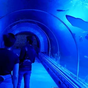 6-Day Maldives Honeymoon Package at Rasdhoo with Private Guide