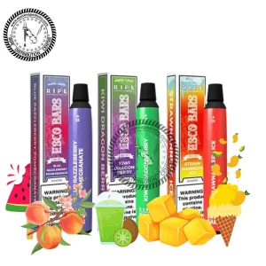 Bars 2500 Puffs 6ml Salt Nic Mesh Coil Disposable Device