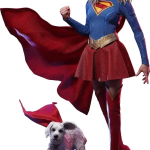 Hot Toys Supergirl and Krypto 1/6 Scale Figure Display Poses