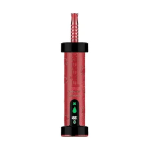 Passion Kiwi - Ploox Molasses 75k Disposable E-Hookah