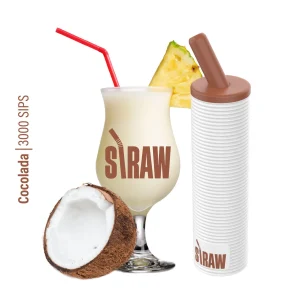 Straw Disposable Vape 3000 Puffs - 10 Pack