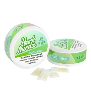 Pouch Nurdz Nicotine Pouches - 12mg / Cool Mint