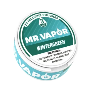 Mr. Vapor Nicotine Pouches - Wintergreen