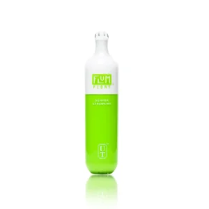 Summer Strawkiwi Flum Float 5%